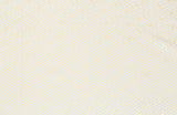 【10000HPT紗綾型】アムンゼン「サヤ型」 箔プリント【和装衣装 店舗内装飾 ステージ衣装 日本製】日暮里繊維街